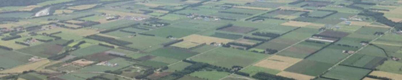 The patchwork farmland of the Tokachi Plain seen from above