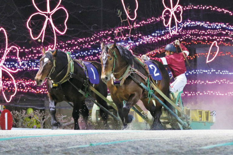 Banei draft horse racing in Obihiro